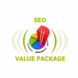 SEO Services India Value package
