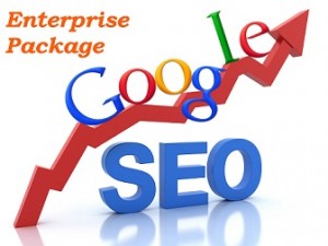Seo-Services-India-Enterprise-Package